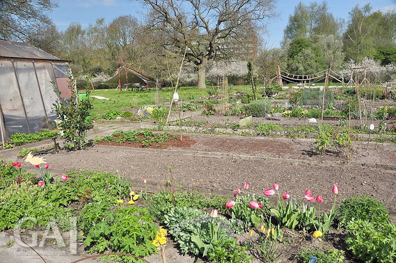 Kaufvertrag Fur Pagels Garten Aufgelost General Anzeiger